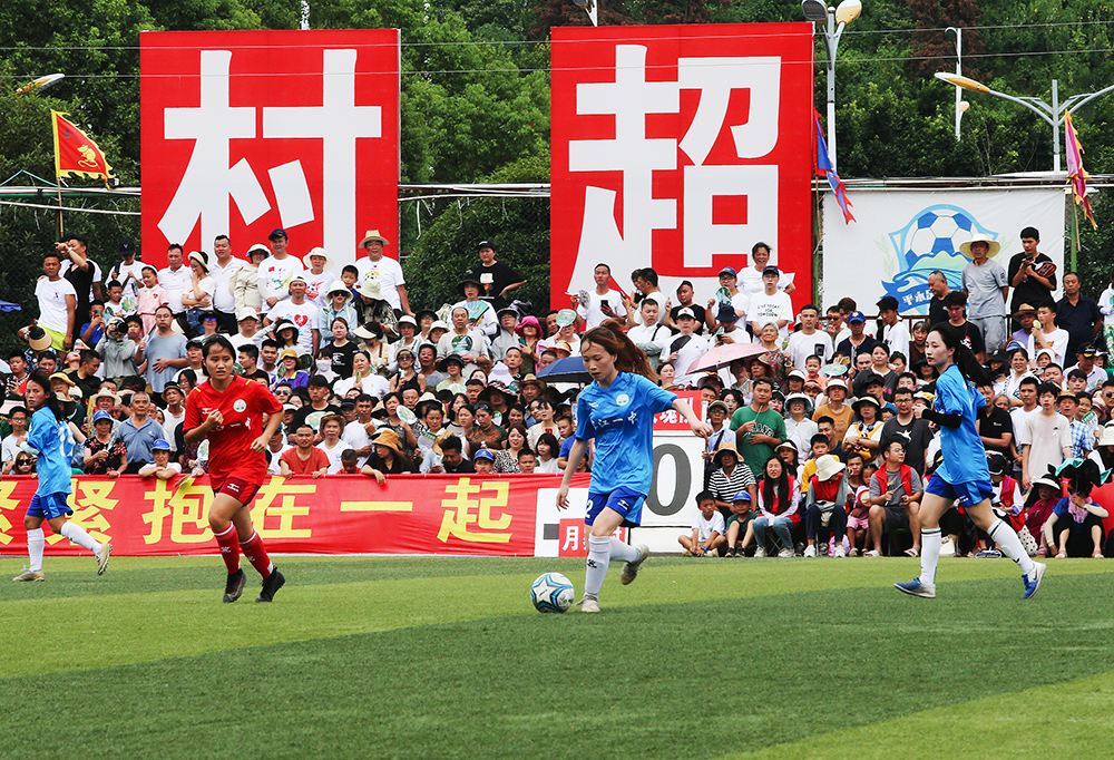 他们的价值 他们的价值