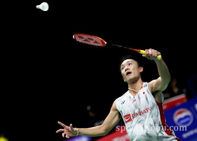 米兰管理层 米兰管理层