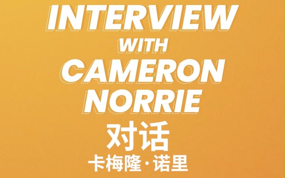 更是商业宠 更是商业宠