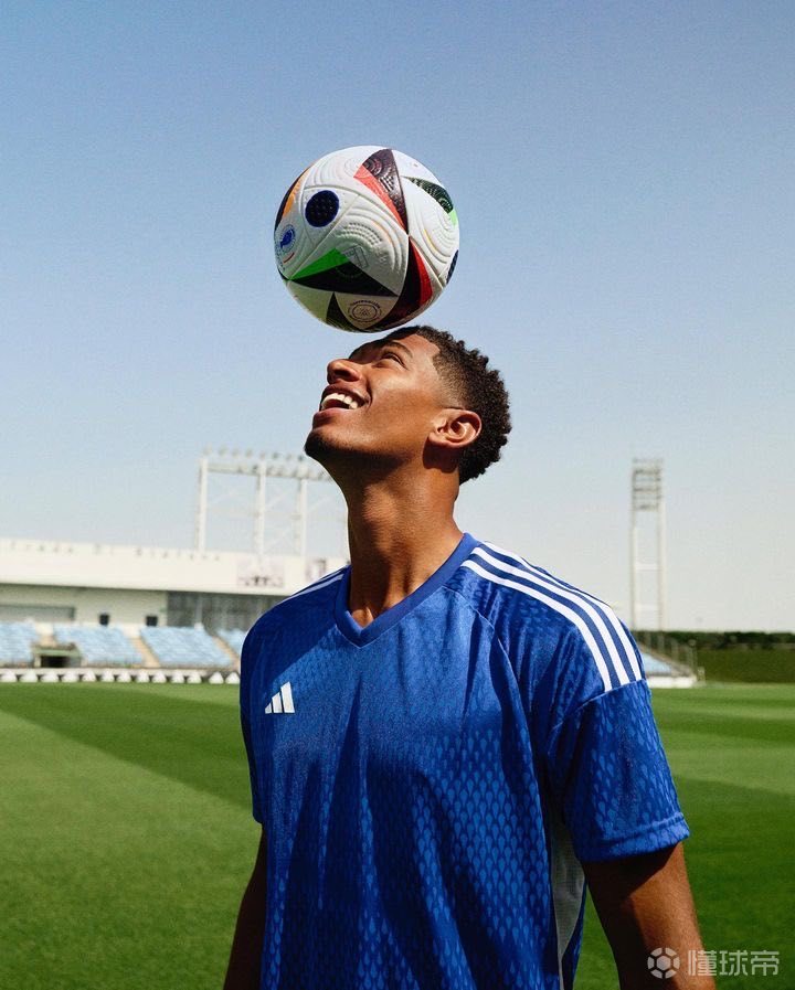 数的玩家 数的玩家